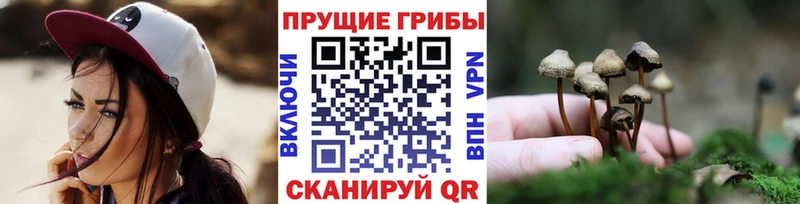 мориарти формула  Межгорье  Псилоцибиновые грибы Cubensis  как найти  