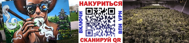 Бошки марихуана VHQ Межгорье