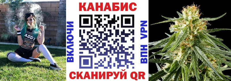 дарк нет наркотические препараты  Межгорье  Шишки марихуана тримм  как найти закладки 